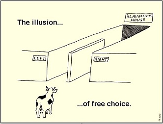 illusion_of_free_choice_2_53.jpg
