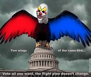 dees_polls_two_wings_same_bird_88.jpg